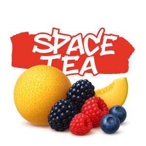 Чайная смесь Space tea Berry Dance (Ягоды) 40 гр Чайная смесь Space tea Berry Dance (Ягоды) 40 гр фото